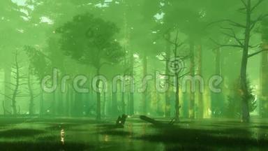 夜间森林沼泽，魔法萤火虫灯4K